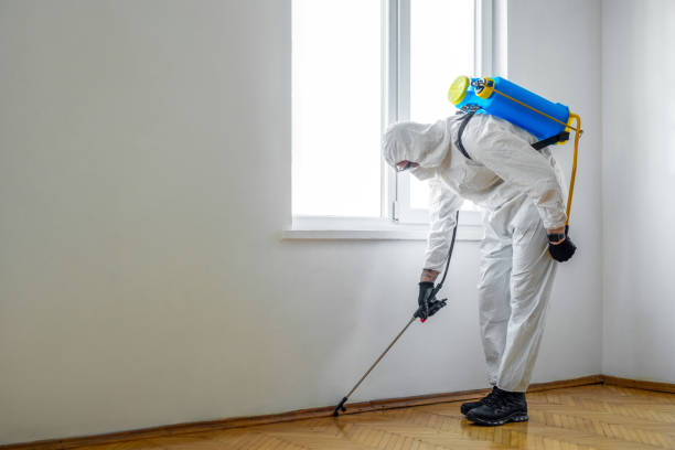 Professional Pest control in Princeton Meadows, NJ